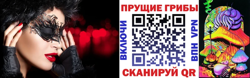 Купить где Разумное Псилоцибиновые грибы MAGIC MUSHROOMS